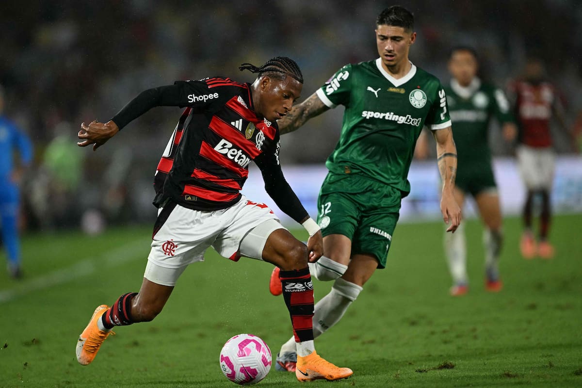 Palmeiras y Flamengo, los dos mejores equipos de Sudamérica desde hace varios años, disputarán la final de la Copa Libertadores 2025
