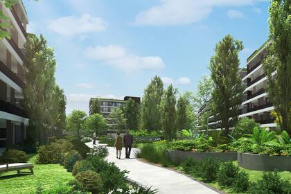 Palmera Campus tiene un gran parque de 6.000 m2.