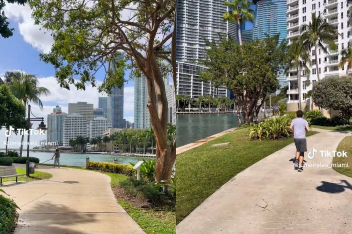 Palmeras y buen clima; los motivos por los cuales muchos sudamericanos prorizan Miami por sobre la espectacular Gran Manzana