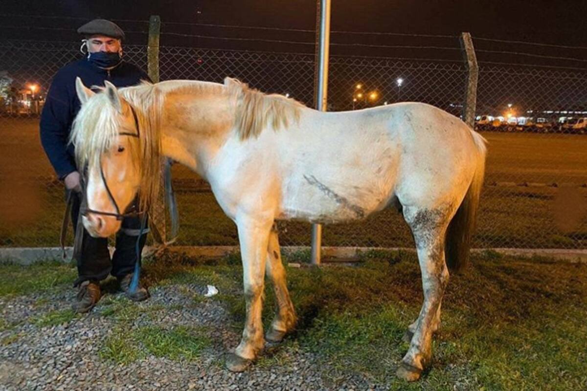 Palomo pudo ser rescatado gracias a los vecinos que filmaron la golpiza