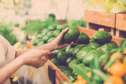 Las paltas también puede plantarse directamente la semilla o hueso en la tierra