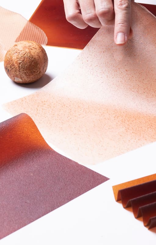 Hongos, carozos de palta y hasta borra de café: los nuevos materiales del diseño y la construcción