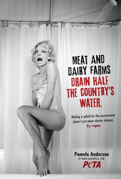 Pamela invita a convertirse al veganismo...