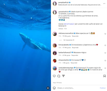 Pampita compartió con sus seguidores su emoción al cumplir su sueño de bailar con ballenas (Foto: Instagram @pampitaoficial)
