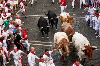 Pamplona celebra el primer encierro de las fiestas de San Fermín