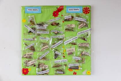Panel con plantas medicinales expuesto en uno de los pasillos del Centro de Salud Intercultural Raguin Kien