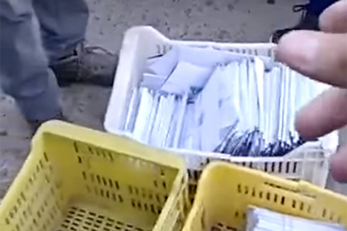 Panfletos que se repartían en Mendoza