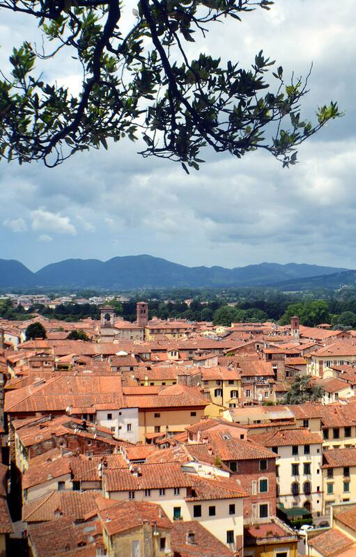 Panorama del casco histórico desde la Torre Guinigi.
