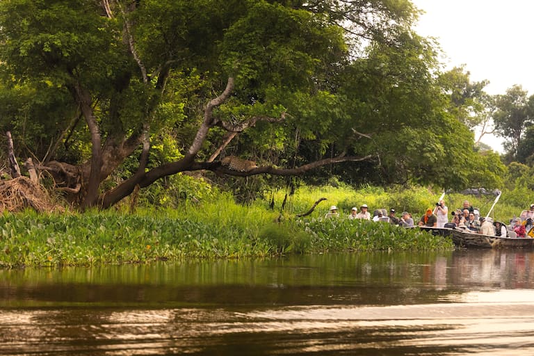 Pantanal
