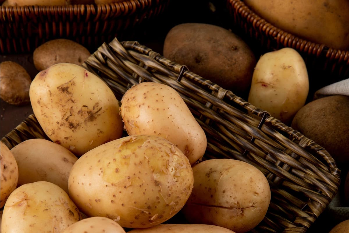 papas