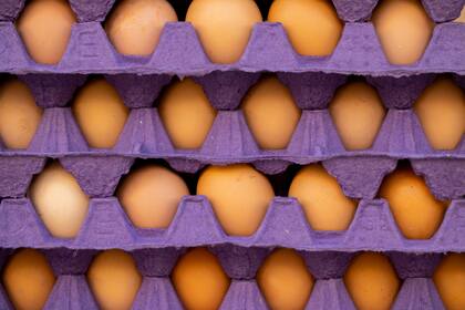 El aumentó del precio de los huevos como consecuencia de la crisis de la gripe aviar