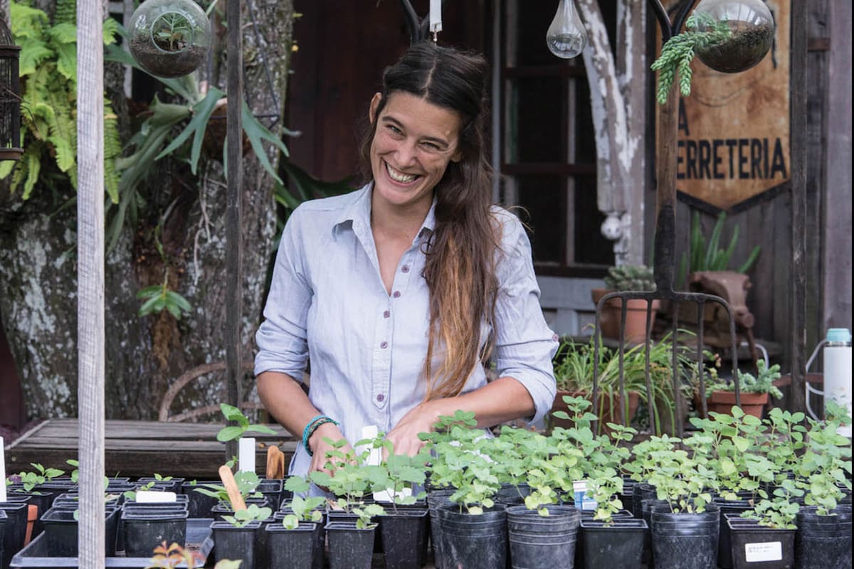 Paquita Romano, jardinera y autora de esta nota, comparte sus secretos para cultivar anuales