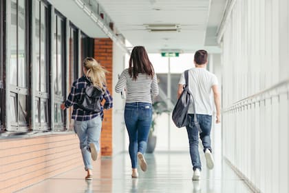 Para acceder a la beca, los estudiantes deberán ingresar a la página web de Miami Dade College