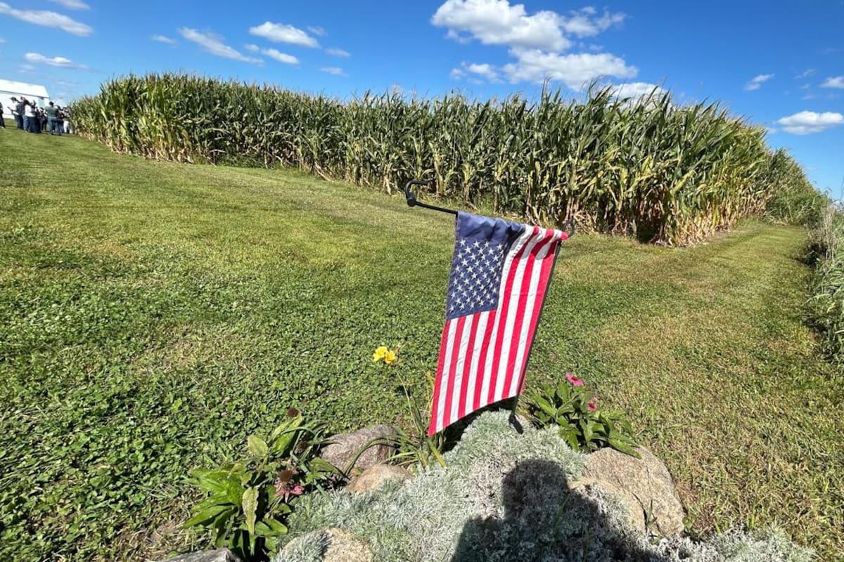 Para acceder a los subsidios agrícolas los productores de Estados Unidos deben cumplir con ciertos requisitos de forma