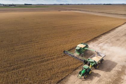 Para adquirir un tractor, un productor ganadero necesitó 44.725 kilos de novillito, un 22% menos que un año atrás y también por debajo del promedio histórico