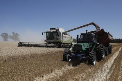 La cosecha 2021/2022 de trigo ya comenzó en el norte del país