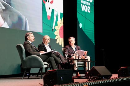 Para Asinelli, el desafío de los próximos años será construir una mayor articulación entre los organismos internacionales, los gobiernos nacionales y provinciales y el sistema financiero para evitar superposiciones y facilitar el acceso al crédito