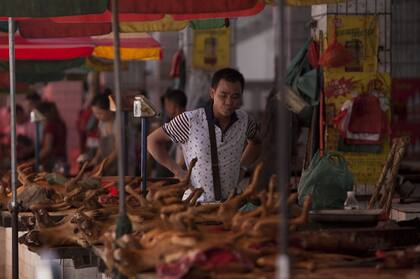 Para celebrar el solsticio de verano, miles de perros son sacrificados y servidos en el controvertido Festi val de Carne de Perro en Yulin, China