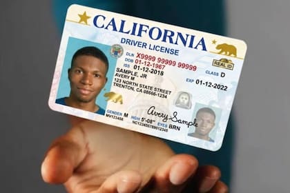 Para conducir en México es necesaria una licencia vliday vigente