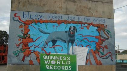 Para conmemorar el 80° aniversario de su muerte, los residentes de Rochester, Australia, encargaron un mural en su honor.