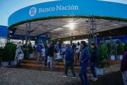 Para Daniel Tillard, presidente del banco, "la alta demanda de créditos refleja la confianza del sector en la recuperación económica y el crecimiento sostenido de la agroindustria”