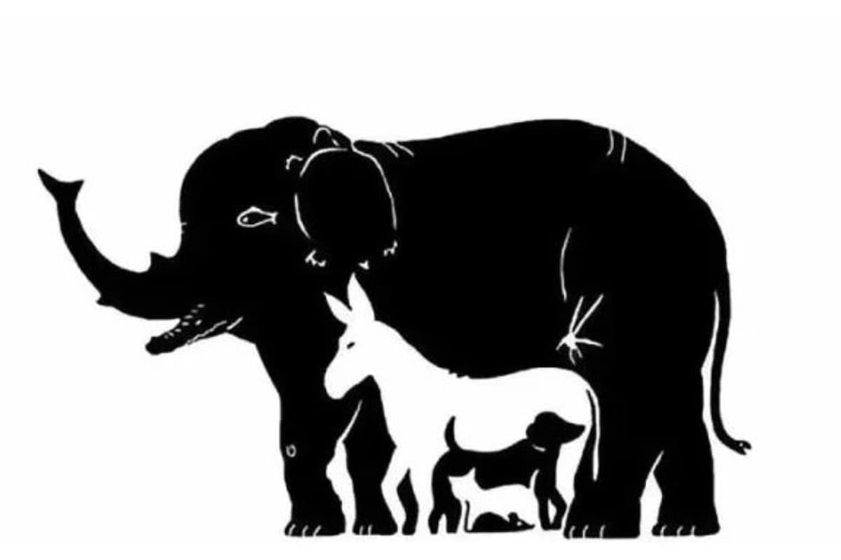 Para dar con la respuesta hay que ser experto en este tipo de desafíos de concentración.