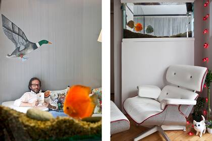 Los peces no son decorativos, son mascotas queridas y cuidadas con dedicación.