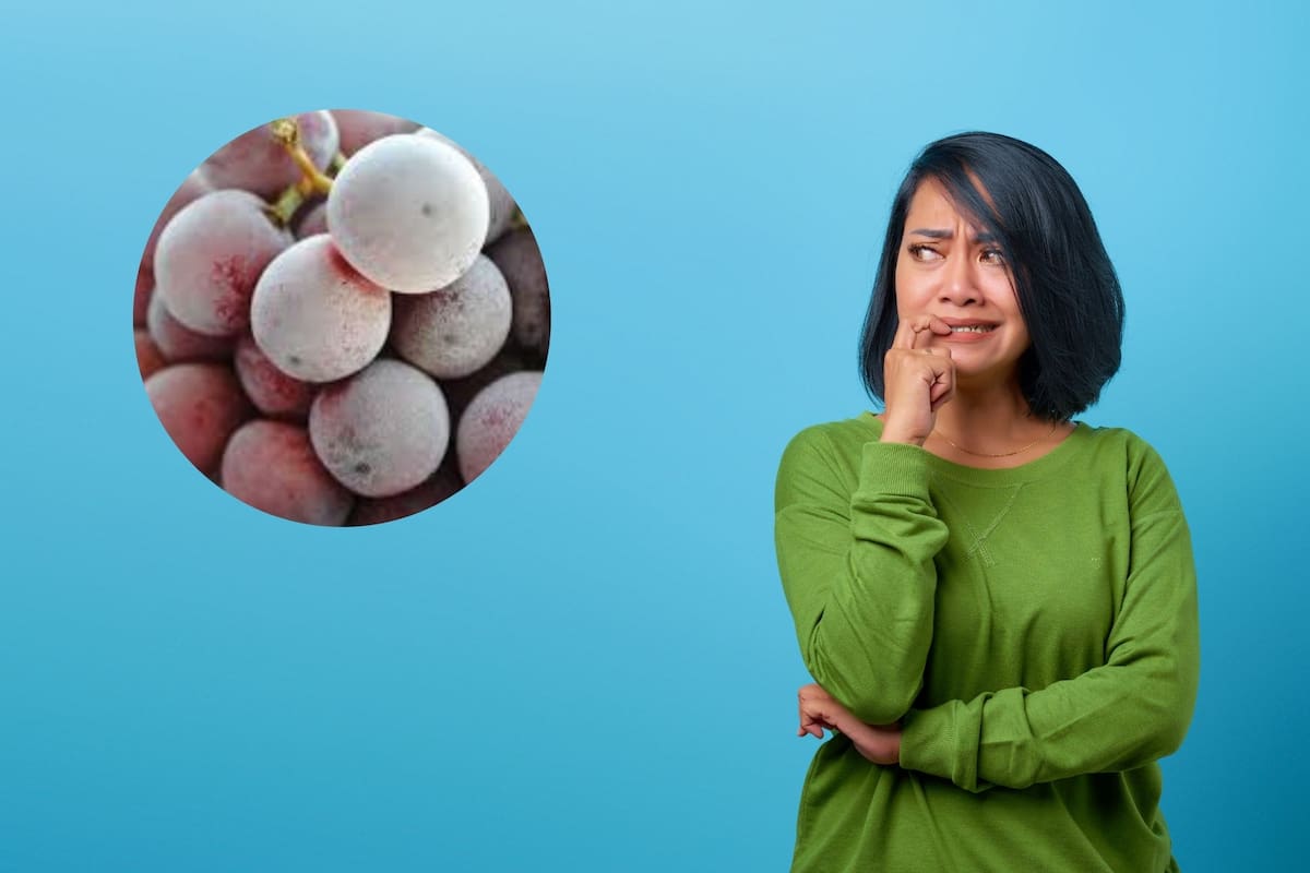 Para dejar de comer dulces y postres por estrés Singh recomienda tener a mano uvas congeladas. (CANVA)