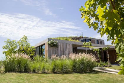 "Para diseñar la terraza verde, convocamos a las paisajistas Pilar Samaría y Guadalupe Ayerza, que dominan esa temática a la perfección", revela el arquitecto Mosquera.