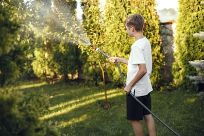 Para disfrutar de un césped tupido en primavera, debemos prestar atención a dos tareas importantes en esta época