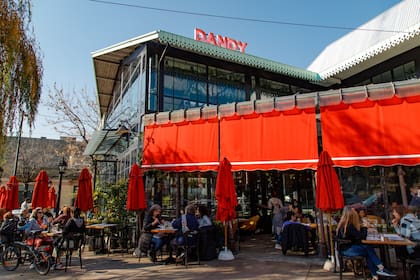Para disfrutar todo el día Dandy de Saavedra