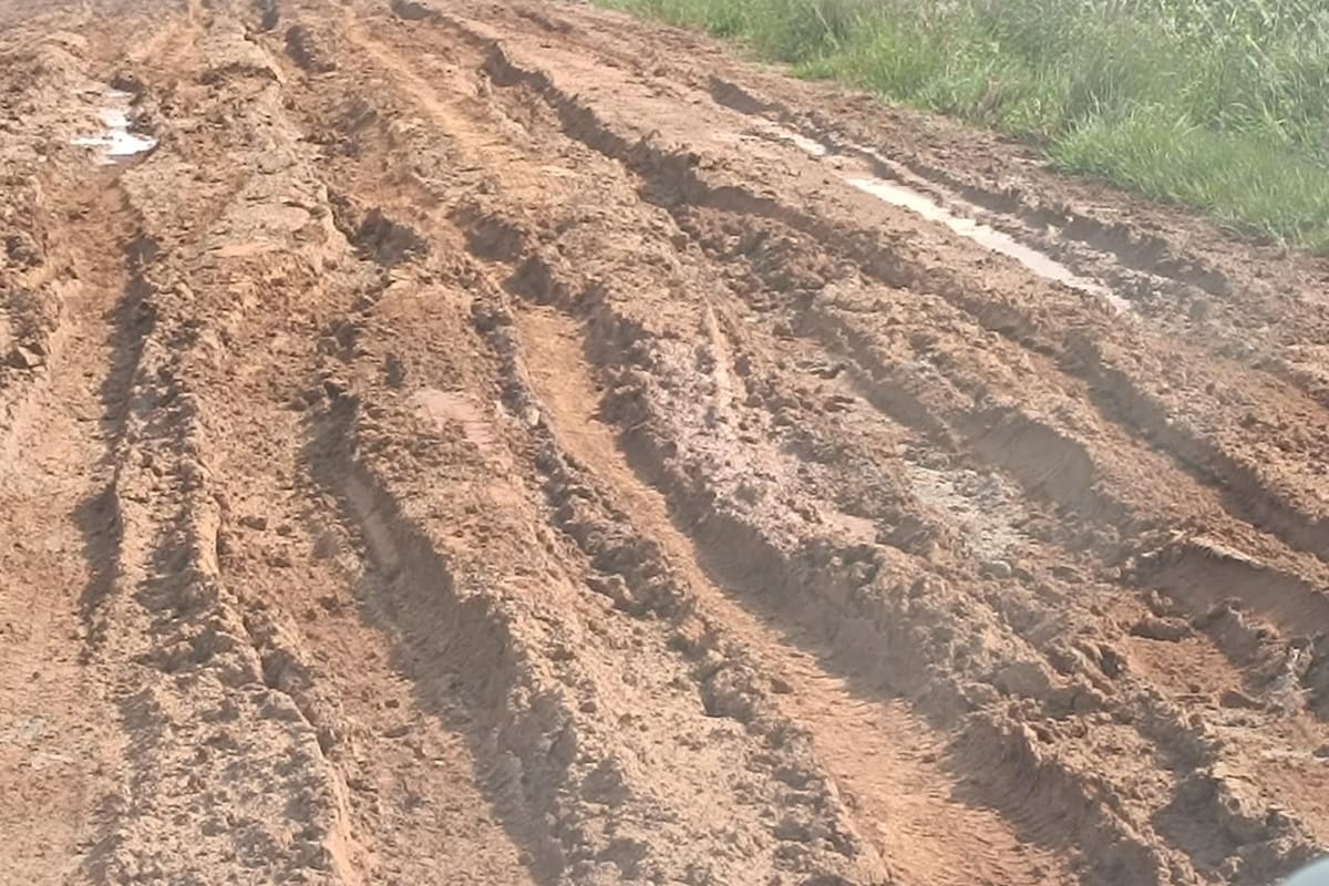 Para eficientizar el manejo de esos recursos, con el proyecto de ley se crea el Consejo de Seguimiento y Fiscalización de Obras y Tránsito en Caminos Rurales, integrado por un representante de la Confederación de Asociaciones Rurales de Buenos Aires y La Pampa (Carbap), de Coninagro, de la Federación Agraria Argentina (FAA), de la Sociedad Rural Argentina, de la Dirección de Vialidad y del Ministerio de Infraestructura y Servicios Públicos bonaerense