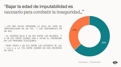 Para el 63% de los bonaerenses, bajar la edad de imputabilidad es necesario para combatir la inseguridad