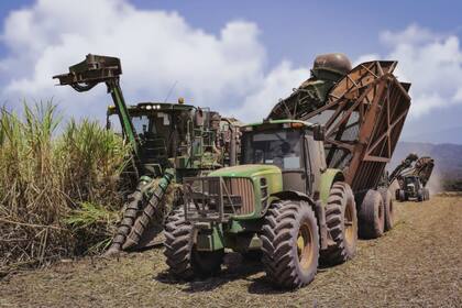 Para el año 2021, la empresa azucarera Ledesma planea invertir más de US$10 millones en producir enegías renovables