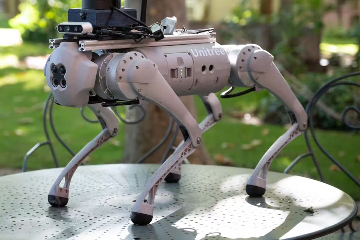 Para el desarrollo de Tefi, antes fue necesario desvelar los muchos secretos que albergan los robots que caminan