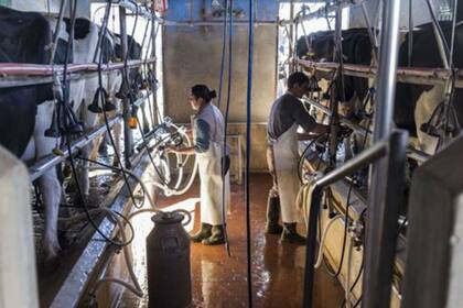 Para el diputado Contigiani, deben tomarse medidas para el sector