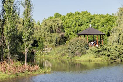 Para el diseño de cada espacio del parque contaron con la colaboración de destacados botánicos y paisajistas que los asesoraron en los detalles técnicos según la especie.