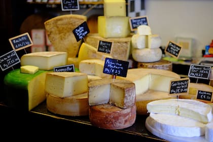 Para el Gobierno se potenciarán las economías regionales