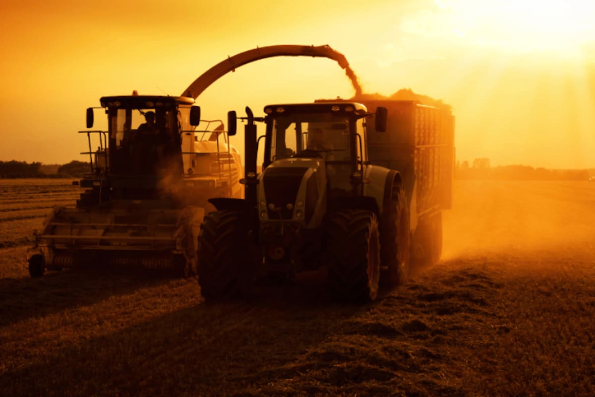 Para el Ieral, el agro argentino compite en el mercado internacional con una ecuación que está desequilibrada: insumos más caros y precios de venta más bajos