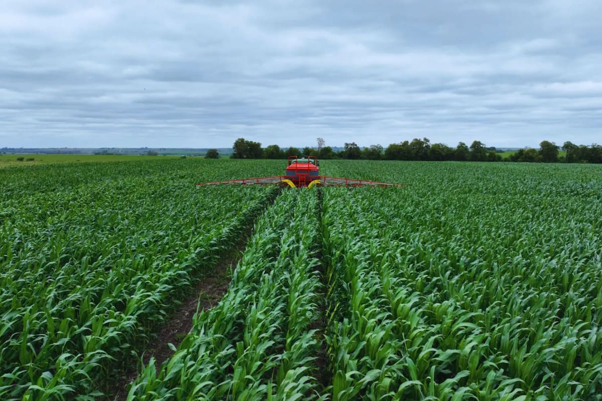 Para el INTA, “la disponibilidad de agua útil es un factor crucial para inferir el rendimiento de los cultivos y la productividad agrícola”