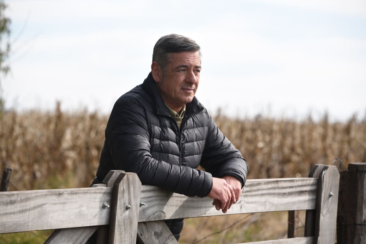 Para el nuevo presidente de la Sociedad Rural Argentina (SRA), Nicolás Pino, "las decisiones del Gobierno en contra de la actividad generan desazón, angustia y bronca”