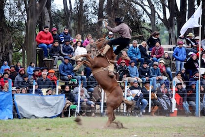 Para el primer certamen ya tienen 10 criadores confirmados que cada uno llevará 10 potros para las tres categorías: crina, gurupa surera y cuero tendido