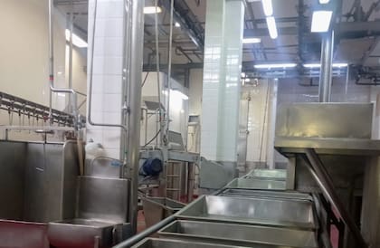 Para este 2024, va tener cuota Hilton (ya solicitó 1000 toneladas para el año en curso), la habilitación para faena Kosher hacia Israel y para el rito Halal para los árabes. Esto incluye la construcción de saladeros de acero inoxidable y la implementación de un cajón giratorio para mejorar todos los procesos
