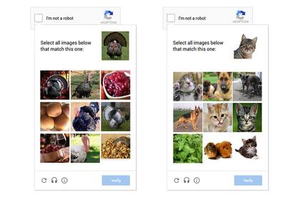 Para este nuevo sistema, el usuario debería identificar y agrupar imágenes de gatitos o pavos, de acuerdo a los ejemplos que presentó Google