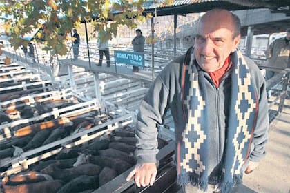 Para Esteban D''Apice, las pasarelas del Mercado de Liniers, sobre los corrales, fueron una parte grande de su vida