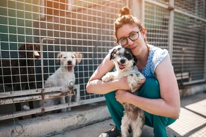 Para evitar caer en una estafa de cachorros es importante saber reconocer las señales de una posible oferta falsa (iStock)