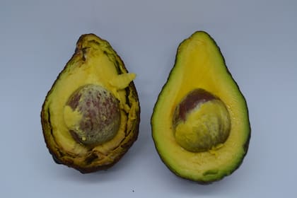 Para evitar que se oxide la palta los especialistas recomendaron rociar cítricos, guardarlas con cebollas o cerrarlas bien para que no les llegue el oxígeno
