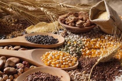 Para FAO, la erradicación del hambre es una responsabilidad compartida