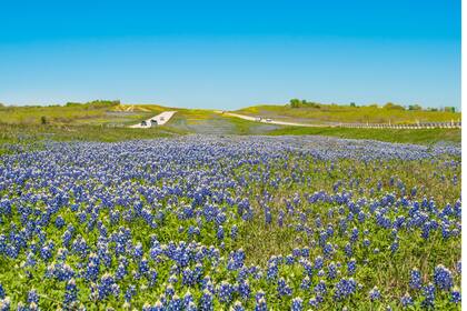 Para fijar los límites, Texas utiliza un estándar de ingeniería que calcula la velocidad por debajo de la cual circula el 85% de los conductores en condiciones óptimas y fuera de horas pico