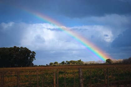 Para Gattinoni, diciembre pasado "hay un 40% en igualdad entre transitar una fase Neutral y una fase La Niña a partir del trimestre julio, agosto y septiembre de 2024, por lo que no es posible adelantar cuál será la fase que prevalecerá para la segunda parte del año"